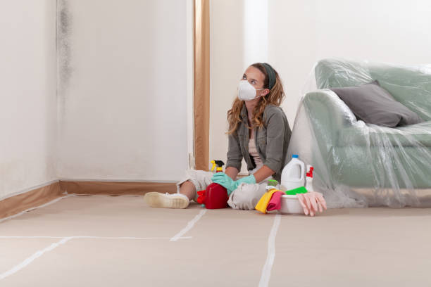 Reliable Black Mold Remediation contractor in Bladensburg, MD by 24 Hour Mold Removal